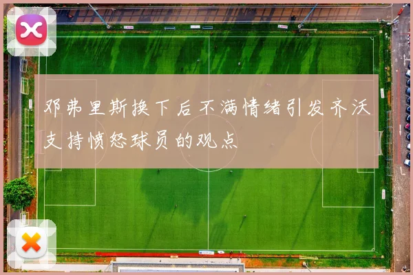 邓弗里斯换下后不满情绪引发齐沃支持愤怒球员的观点