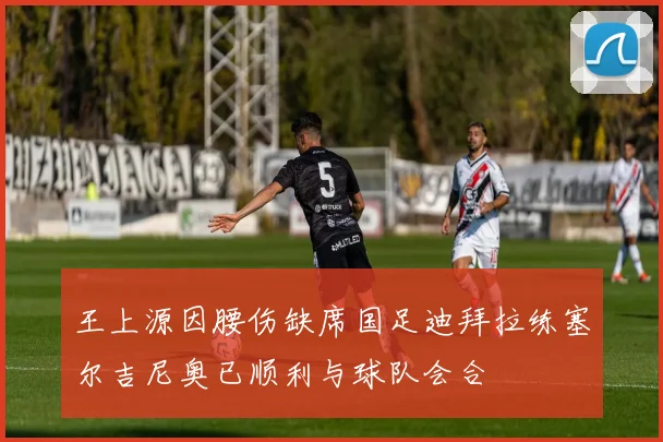 王上源因腰伤缺席国足迪拜拉练塞尔吉尼奥已顺利与球队会合
