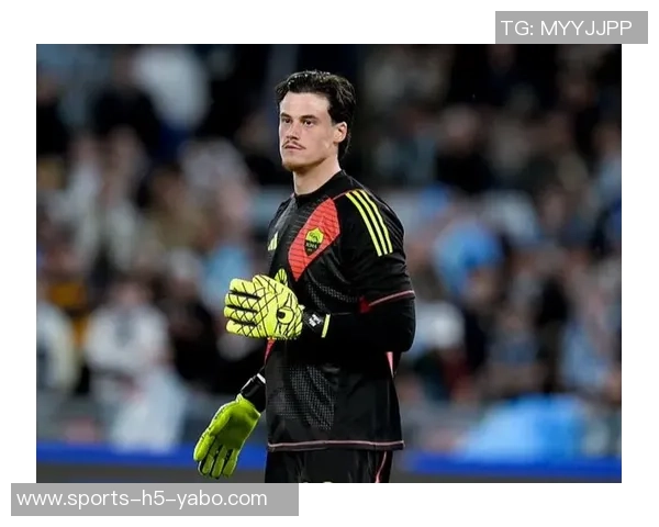 意甲门将身价最新排行卡内塞基斯维拉尔迈尼昂并列第一